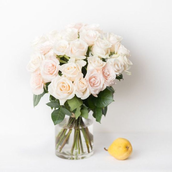 25 кремовых роз в Армавире