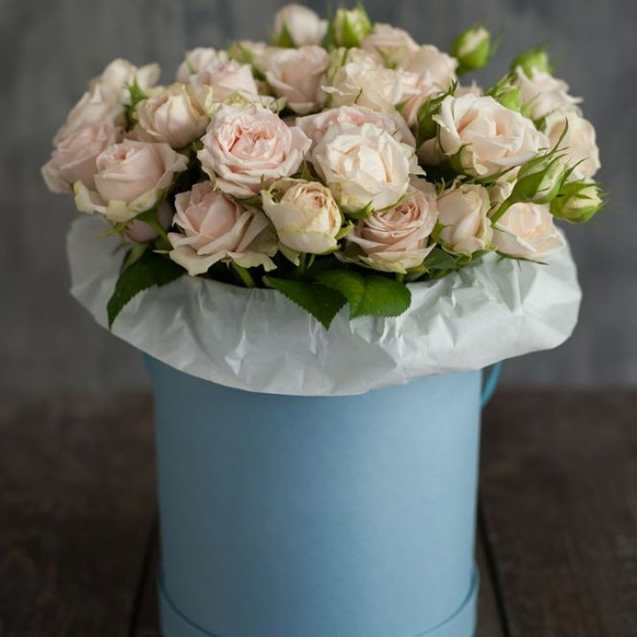 Бокс с бомбастиком в Армавире