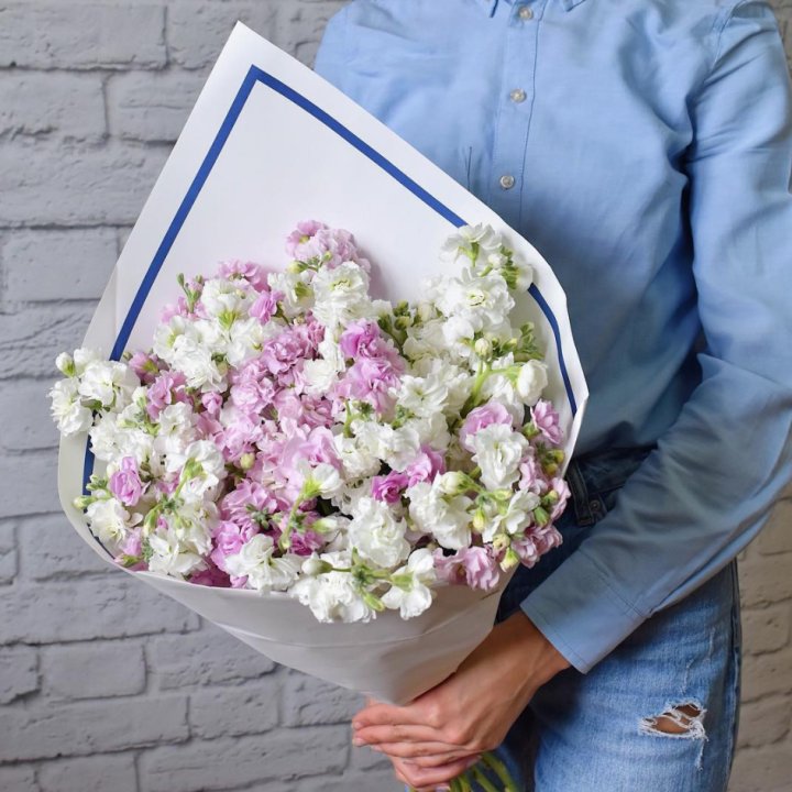 Маттиола в Армавире