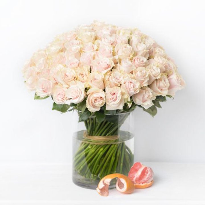 101 кремовая роза в Армавире