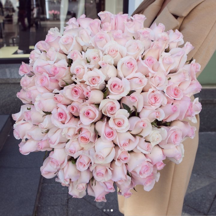 Розы "Пинк бум" в Армавире