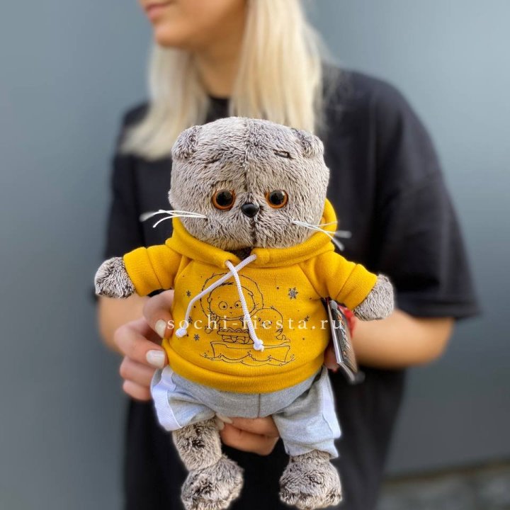 Кот Басик в худи в Армавире