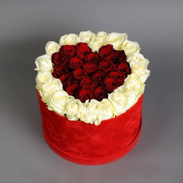 39 красных и белых роз в цилиндре в Армавире