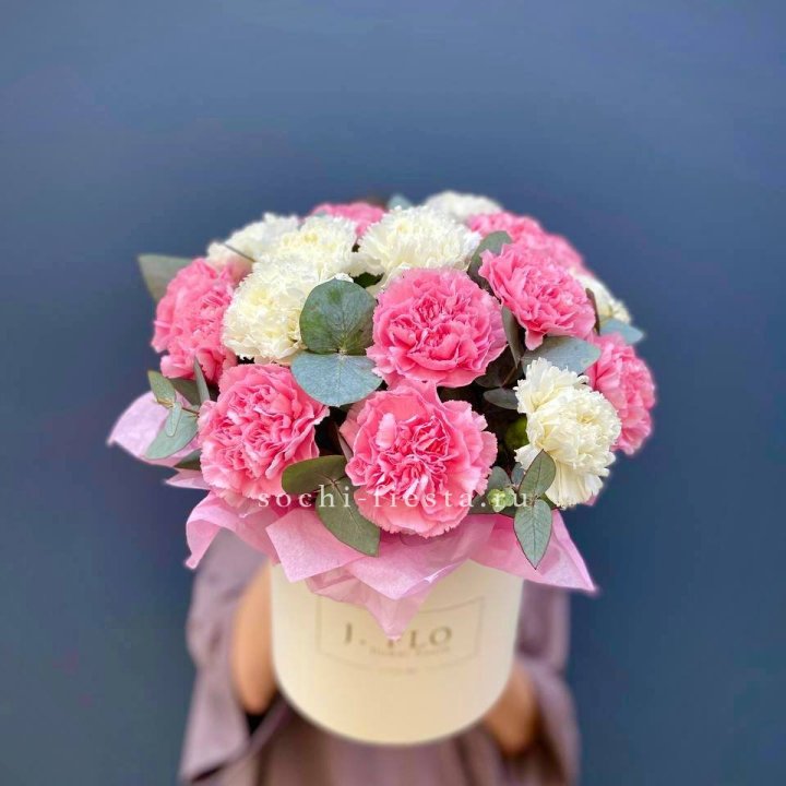 Диантусы в цилиндре в Армавире