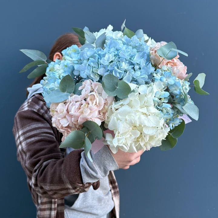 Гортензии в коробочке в Армавире