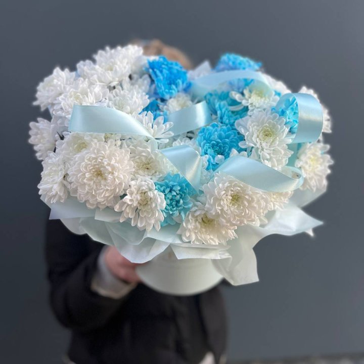 Хризнтемы в боксе в Армавире