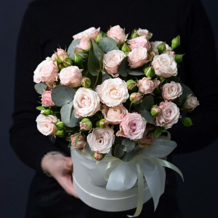 Бомбастик бокс №2 в Армавире