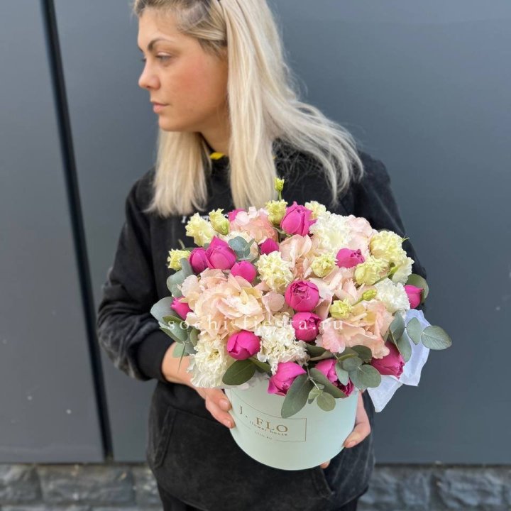 Сборный бокс премьер в Армавире