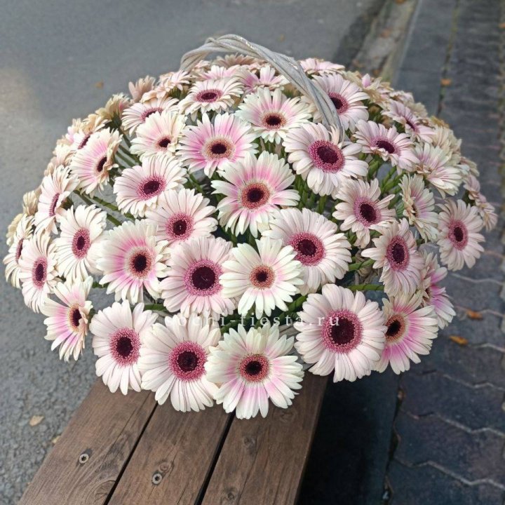 Корзина с герберами  в Армавире