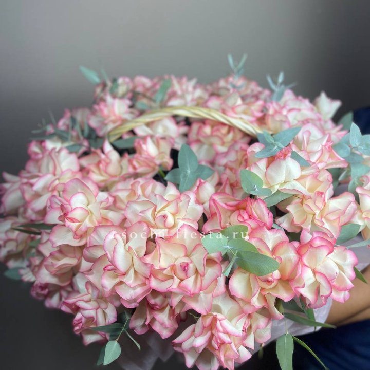 51 джумилия  в корзине   в Армавире