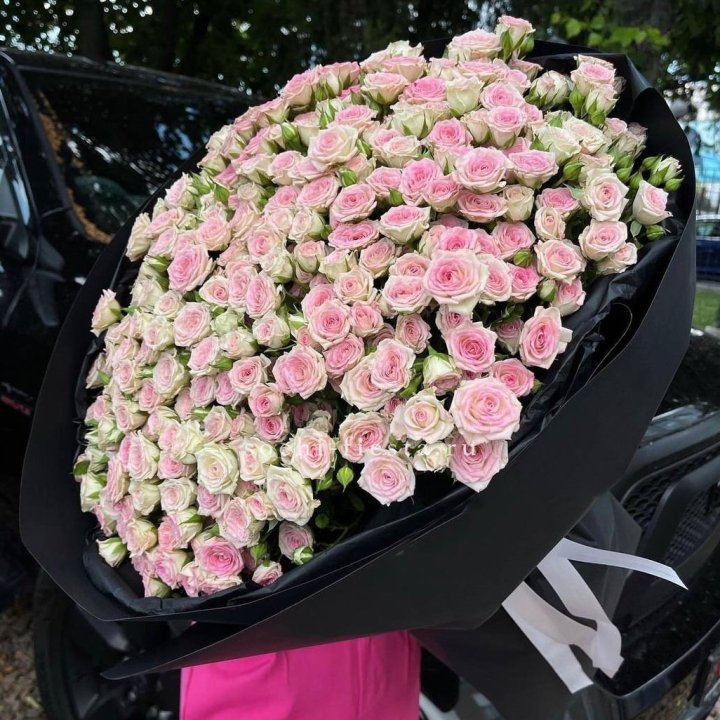 101 кустовая роза "Твистер" в Армавире