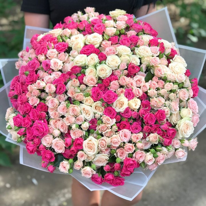 101 кустовая роза в Армавире