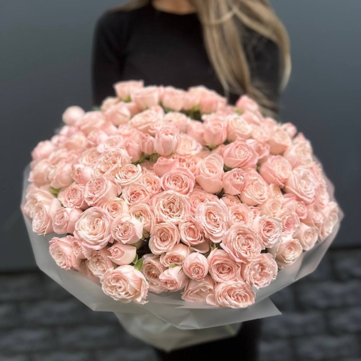 51 кустовая роза Бомбастик в Армавире