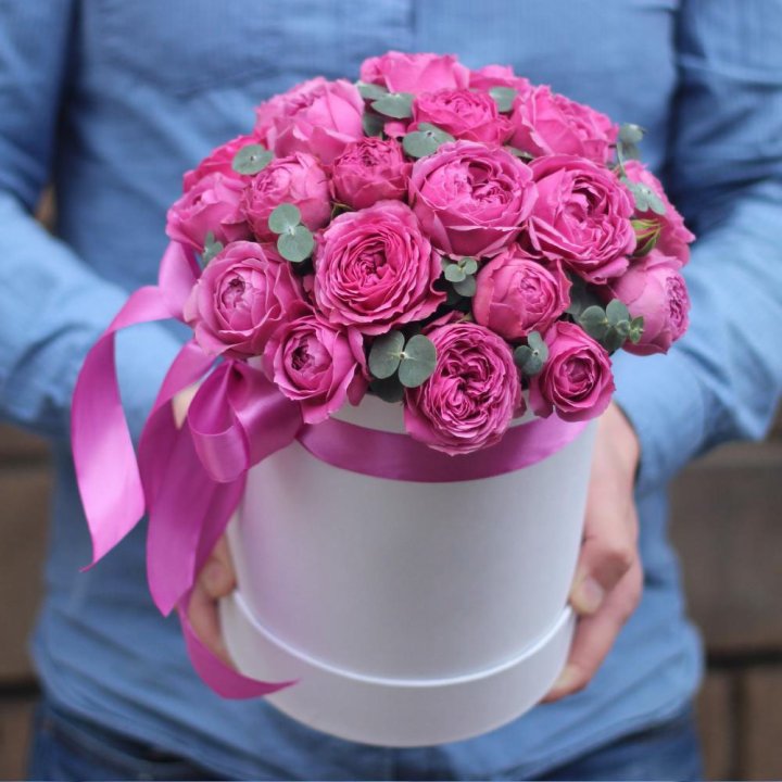 Бокс мисти баблс в Армавире