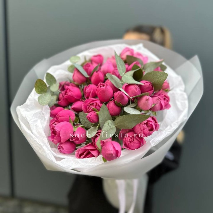 17 Мисти бабблс в Армавире