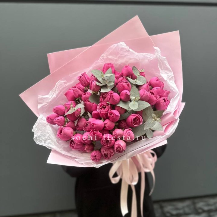 25 Мисти бабблс в Армавире