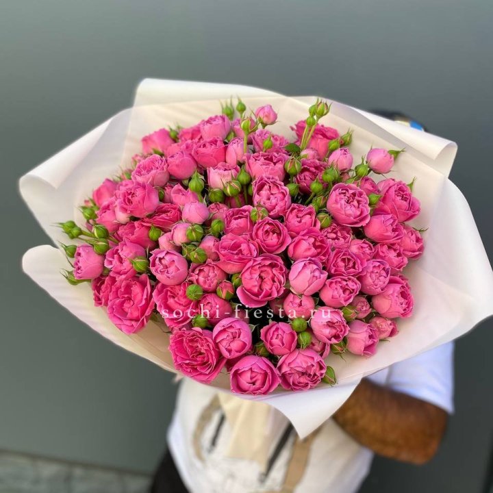 Мисти Баблс 35шт в Армавире