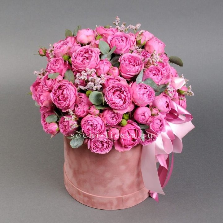 Мисти бокс №1 в Армавире