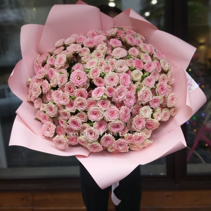 51 кустовая роза Твистер в Армавире