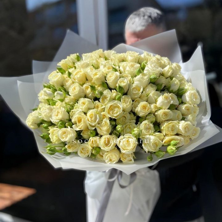 Белые кустовые розы 31 шт в Армавире