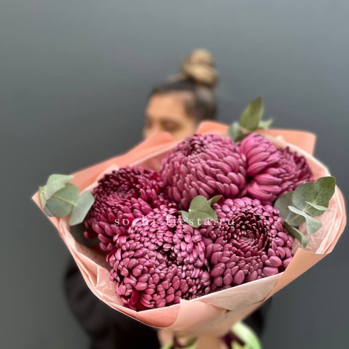 Хризантемы  Бигуди  в Армавире