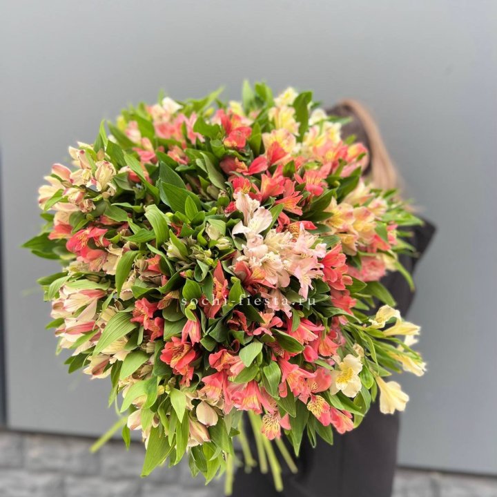 51 альстромерия в Армавире