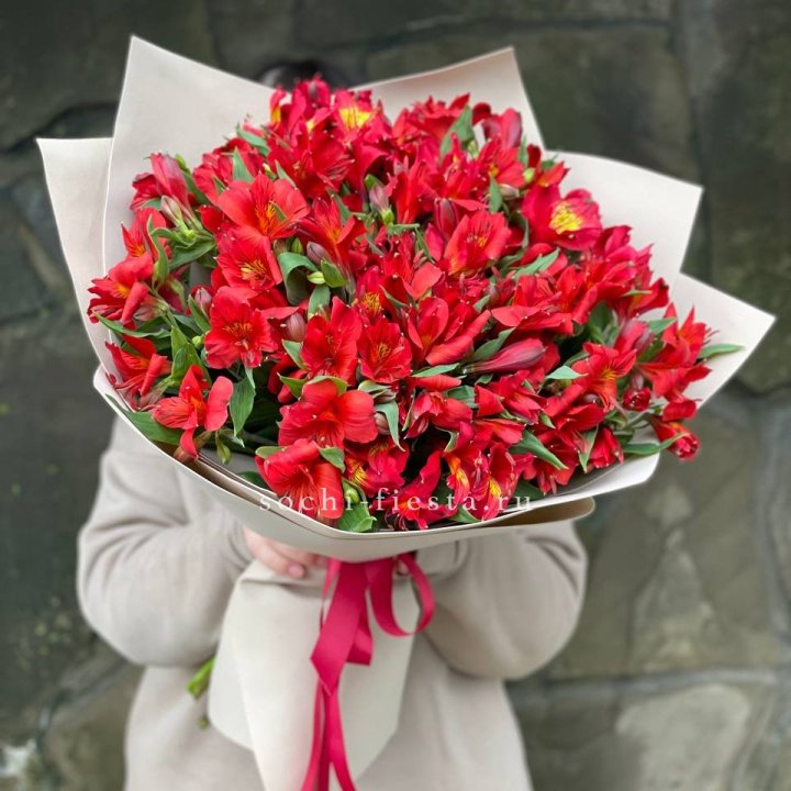 51 альстромерия в Армавире