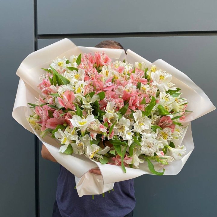 39 альстромерий в Армавире