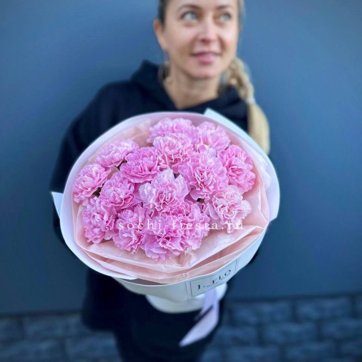 Диантусы в Армавире