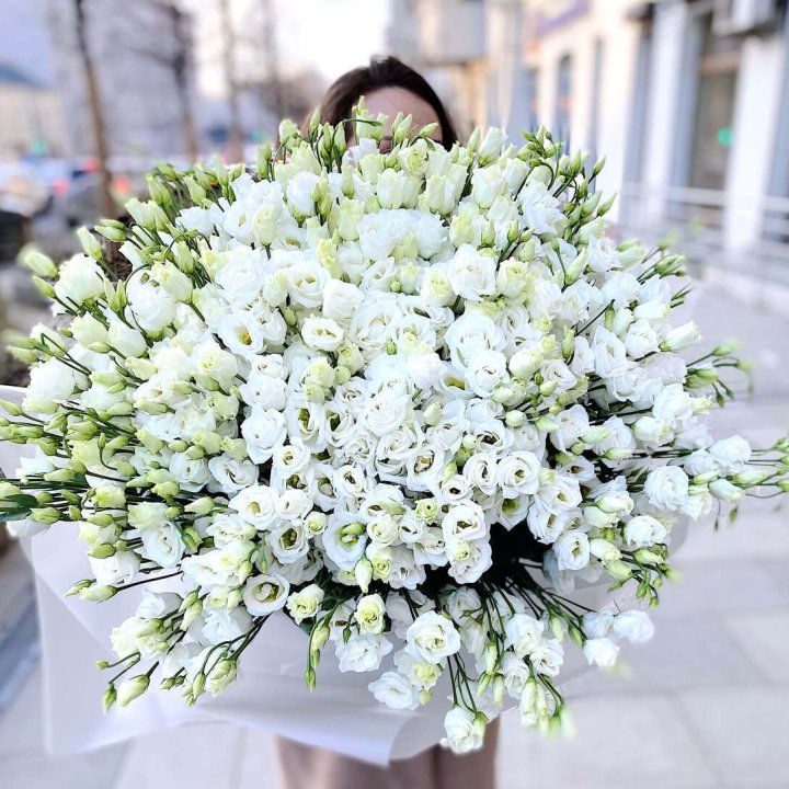 101 белая эустома в Армавире