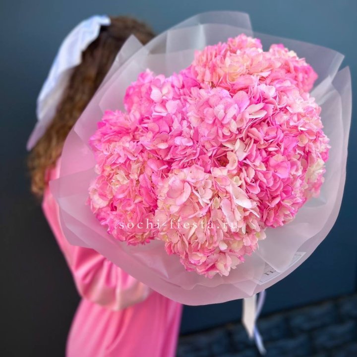 7 ярко розовых гортензий в Армавире