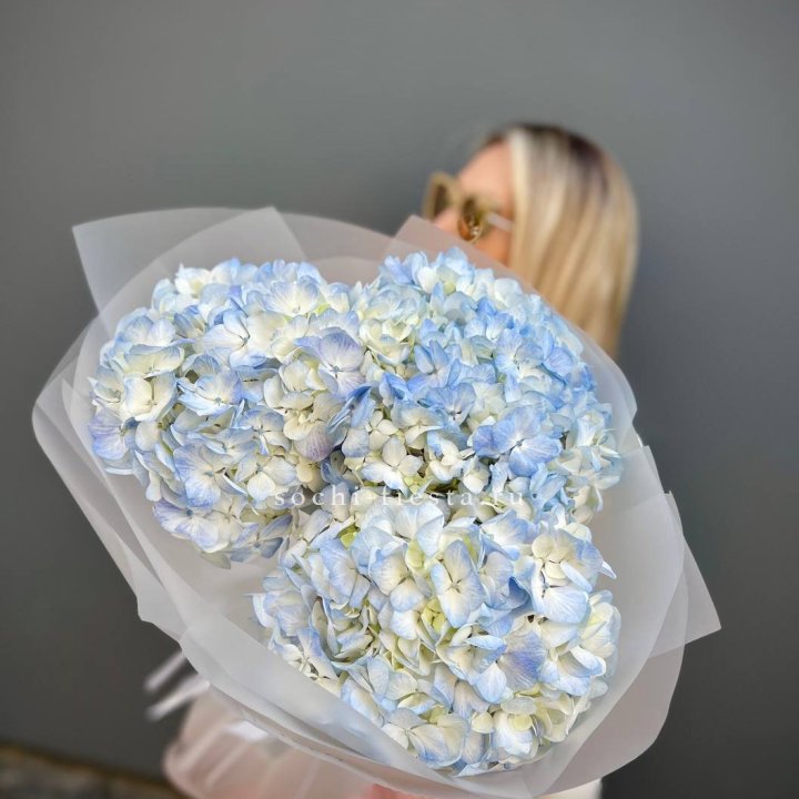 Букет из 3 голубых гортензий  в Армавире