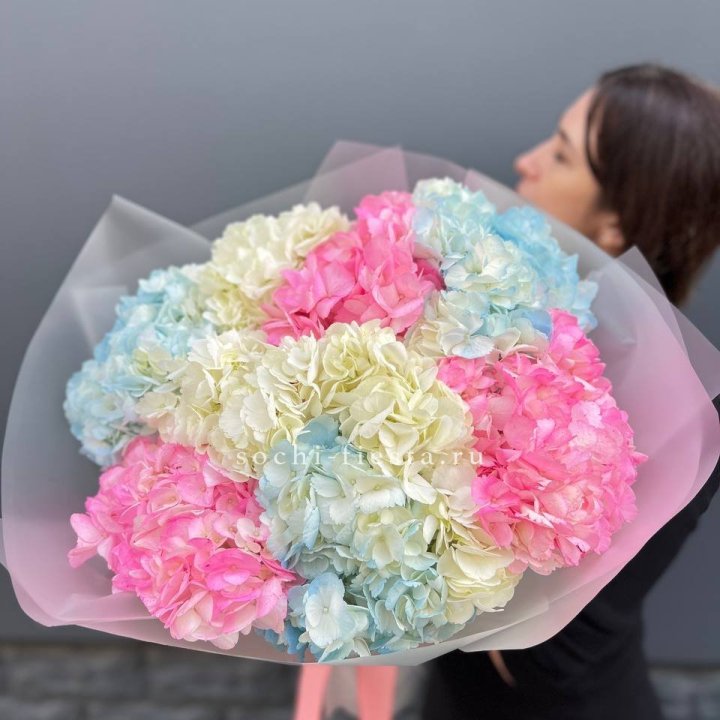 9 гортензий микс в Армавире