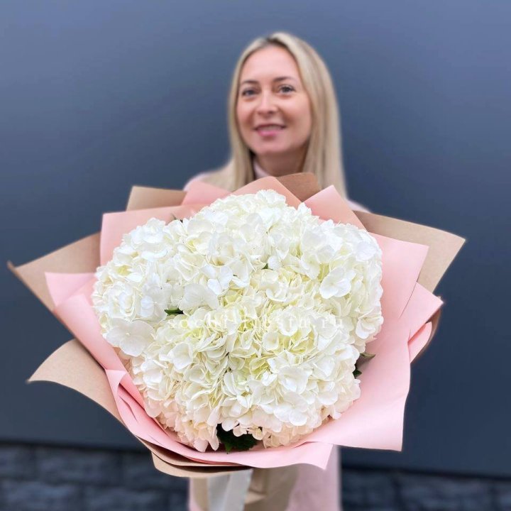 Гортензия белая в Армавире