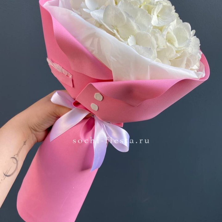 Гортензия в розовом пиджаке в Армавире