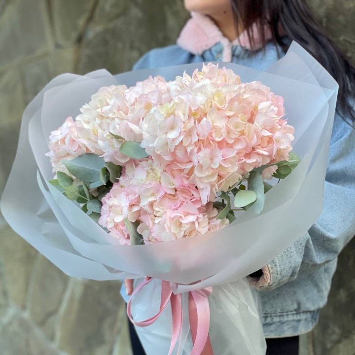 5 розовых гортензий в Армавире