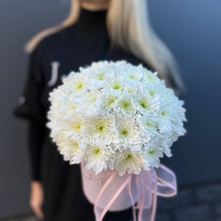 Коробка с хризантемами №1 в Армавире