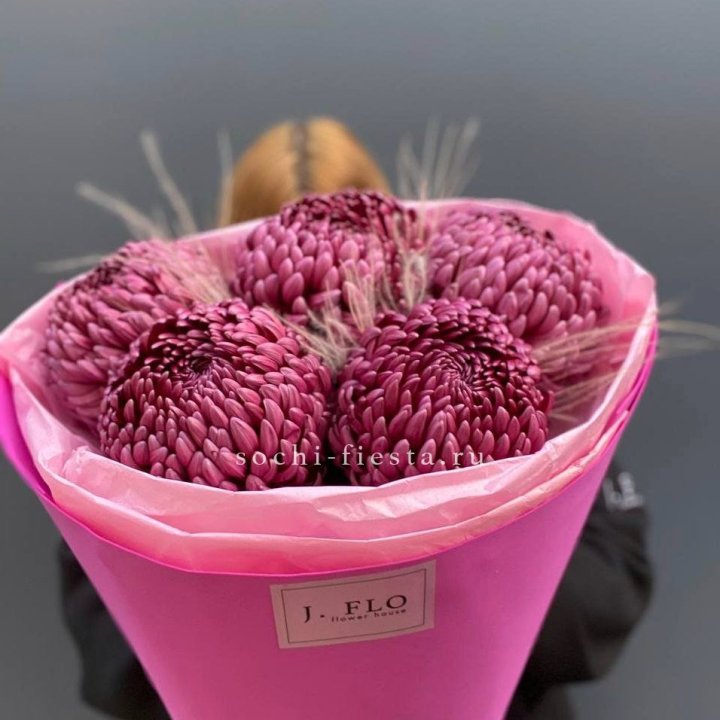 Хризантемы  Бигуди с стифой в Армавире