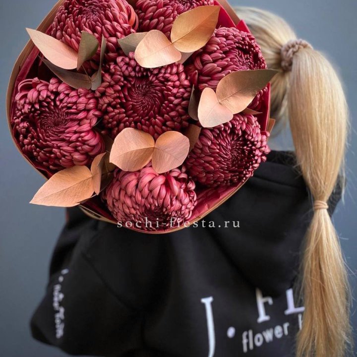 Хризантемы "Голд шоколад" в Армавире