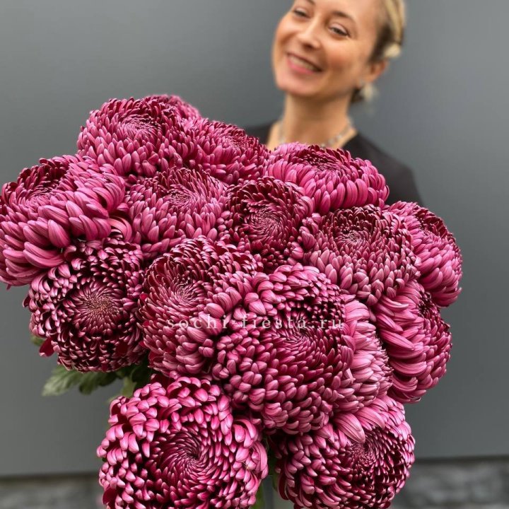 Охапка хризантем Бигуди в Армавире