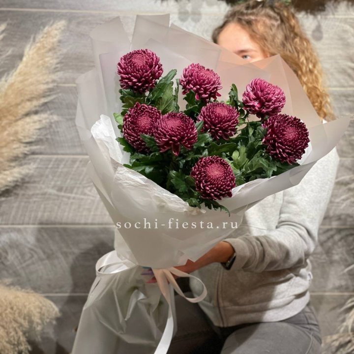 Хризантемы Бигуди в Армавире