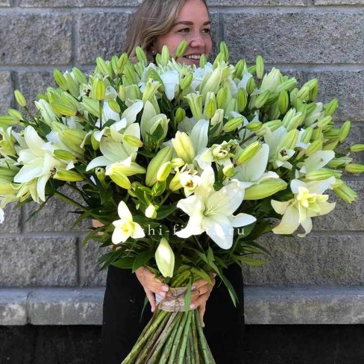 51 лилия в Армавире