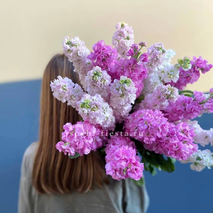 Охапка маттиолы в Армавире