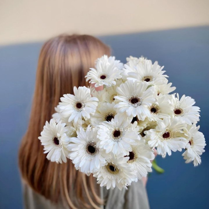 Охапка гербер в Армавире