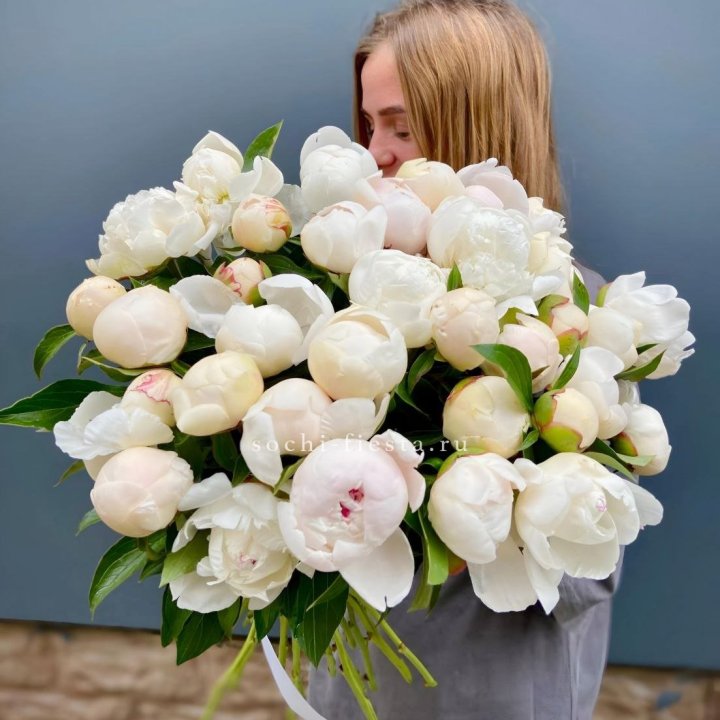 Охапка пионов в Армавире