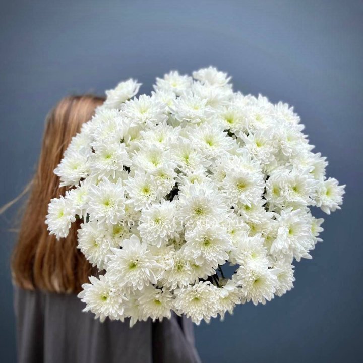 Охапка Хризантемы кустовой в Армавире