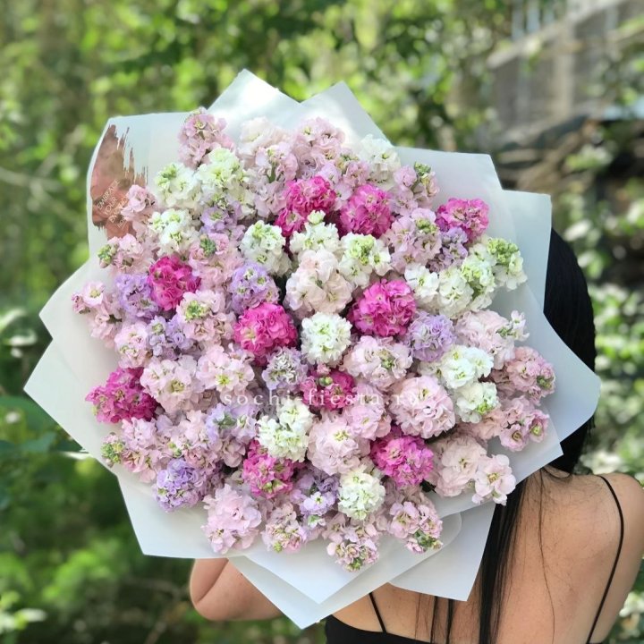 Букет ароматной маттиоллы №3 в Армавире