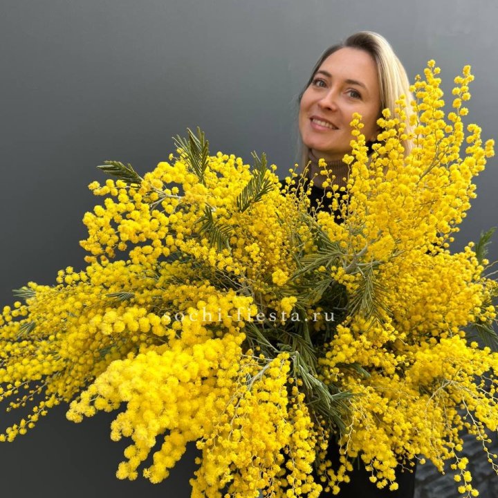 Охапка мимозы №2 в Армавире