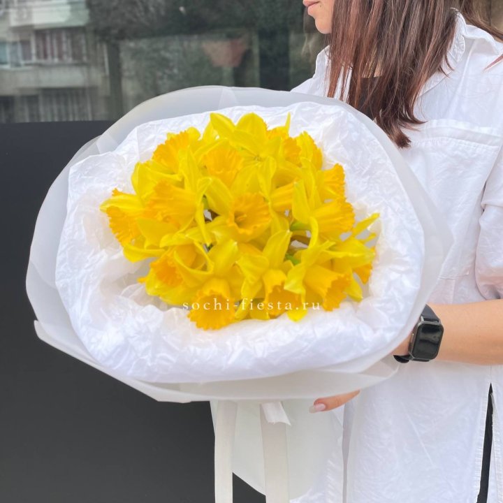 Нарциссы 25 шт в Армавире