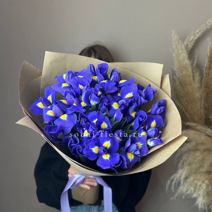 Ирисы в Армавире